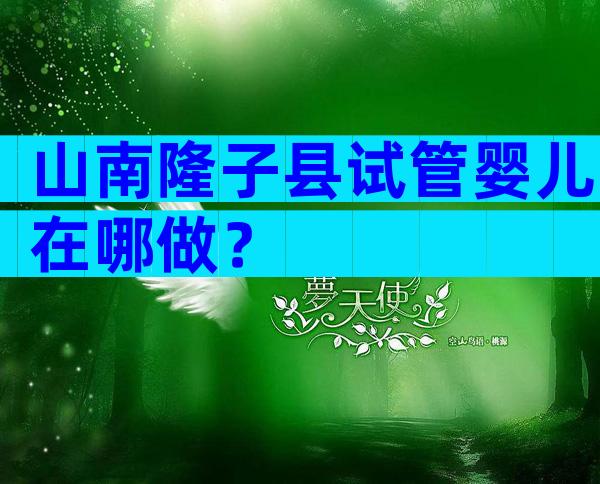 山南隆子县试管婴儿在哪做？