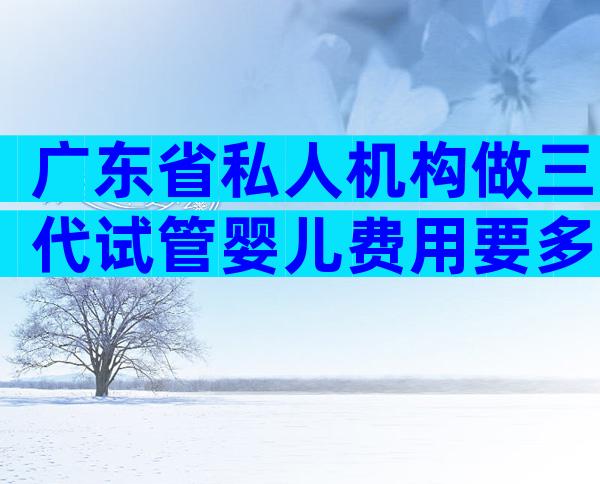 广东省私人机构做三代试管婴儿费用要多少？内附试管所需条件