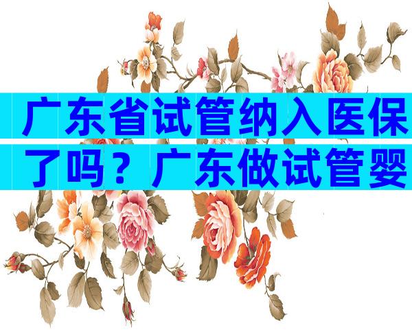 广东省试管纳入医保了吗？广东做试管婴儿的医院