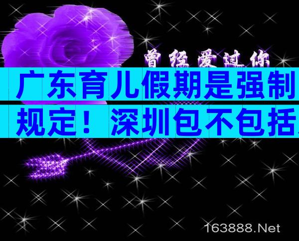 广东育儿假期是强制规定！深圳包不包括双休日这均有答复