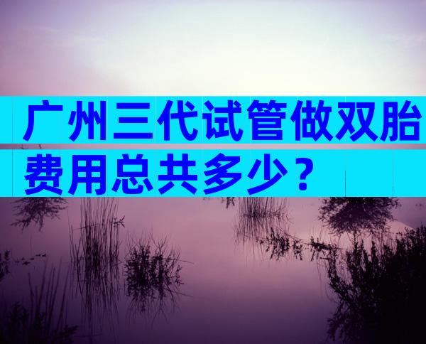 广州三代试管做双胎费用总共多少？