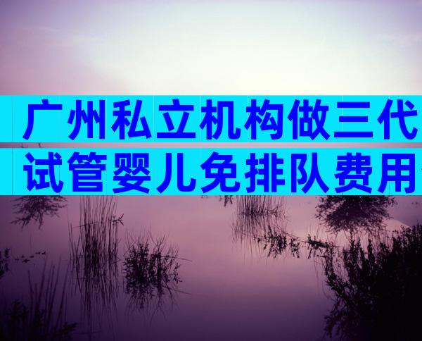 广州私立机构做三代试管婴儿免排队费用介绍，附生孩子总共费用