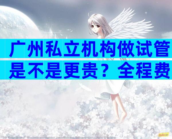 广州私立机构做试管是不是更贵？全程费用明细已揭晓