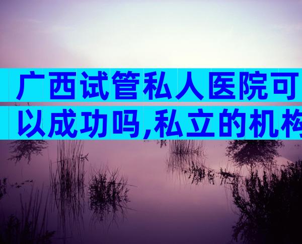 广西试管私人医院可以成功吗,私立的机构有吗