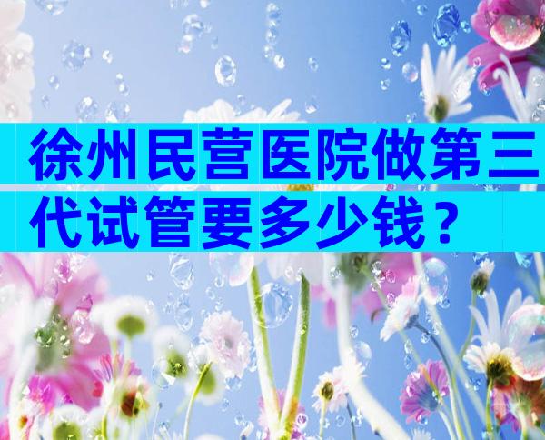 徐州民营医院做第三代试管要多少钱？