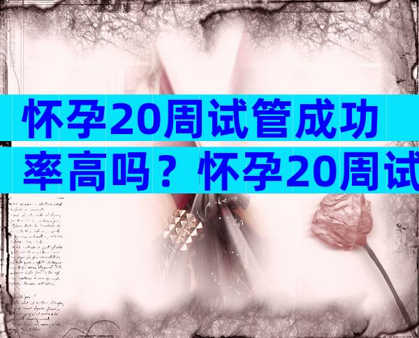 怀孕20周试管成功率高吗？怀孕20周试管成功率高吗？