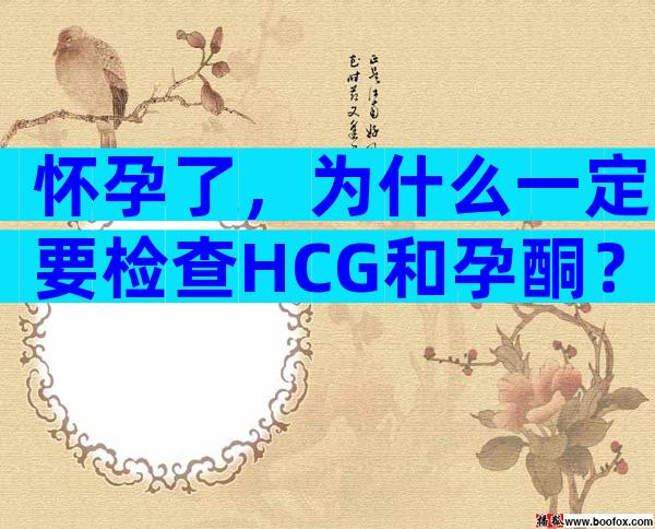 怀孕了，为什么一定要检查HCG和孕酮？