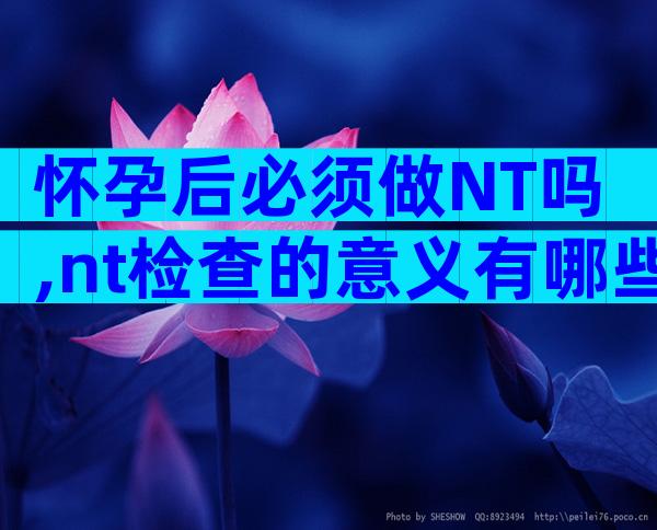 怀孕后必须做NT吗,nt检查的意义有哪些