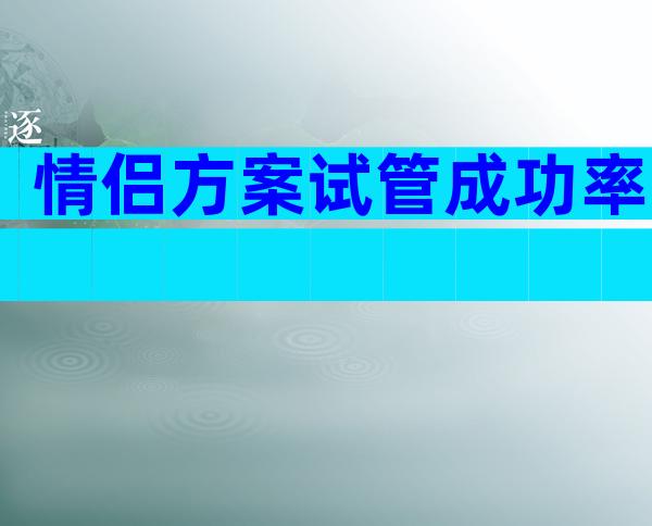 情侣方案试管成功率