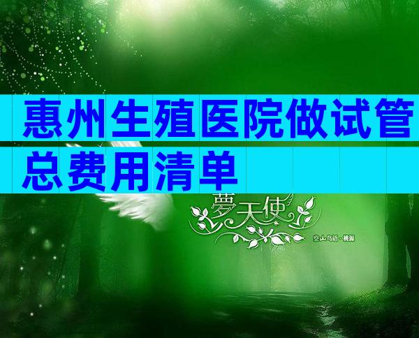 惠州生殖医院做试管总费用清单