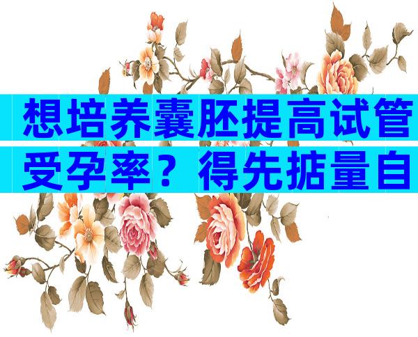 想培养囊胚提高试管受孕率？得先掂量自己的“卵量”！