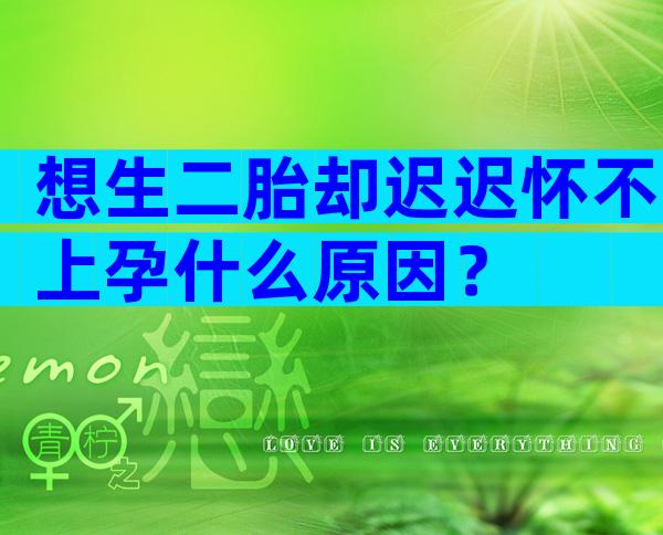 想生二胎却迟迟怀不上孕什么原因？