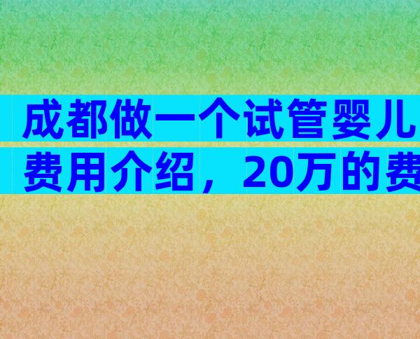 成都做一个试管婴儿费用介绍，20万的费用够吗？