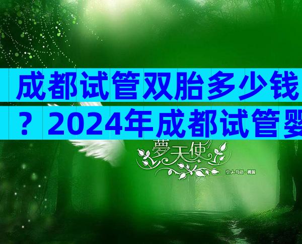 成都试管双胎多少钱？2024年成都试管婴儿费用大约多少？