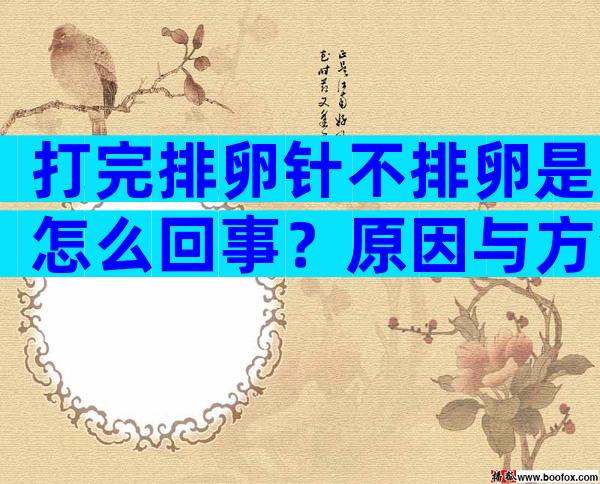 打完排卵针不排卵是怎么回事？原因与方法一键get