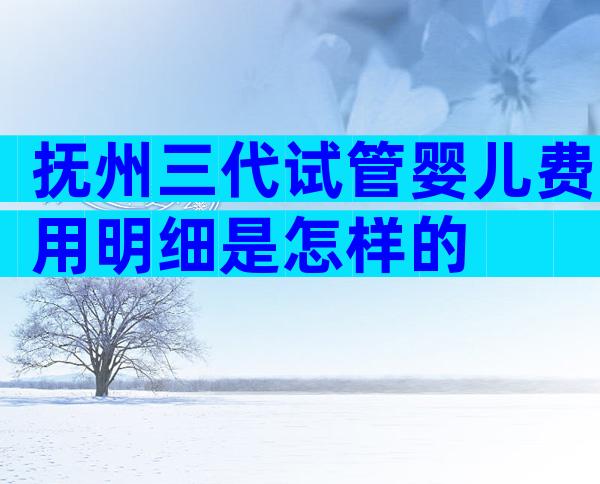 抚州三代试管婴儿费用明细是怎样的