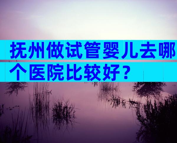 抚州做试管婴儿去哪个医院比较好？