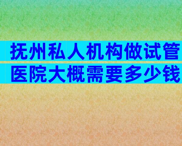 抚州私人机构做试管医院大概需要多少钱