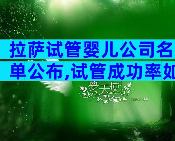 拉萨试管婴儿公司名单公布,试管成功率如何