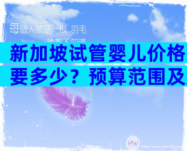 新加坡试管婴儿价格要多少？预算范围及成功率！