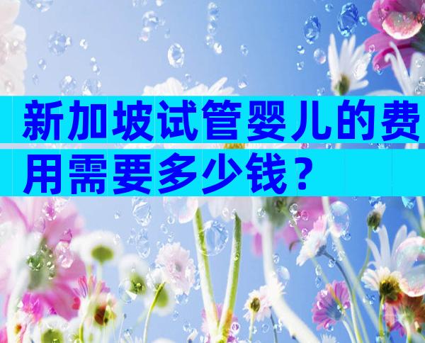 新加坡试管婴儿的费用需要多少钱？