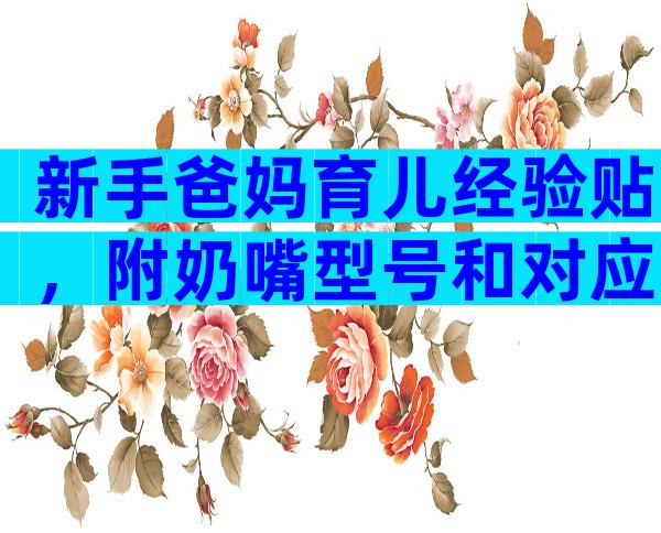 新手爸妈育儿经验贴，附奶嘴型号和对应月龄