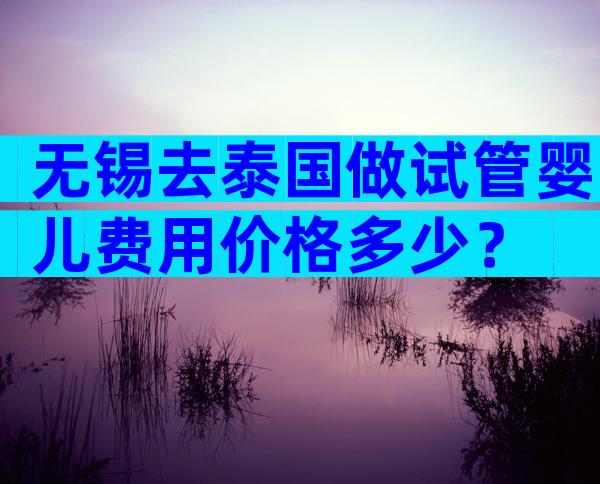 无锡去泰国做试管婴儿费用价格多少？