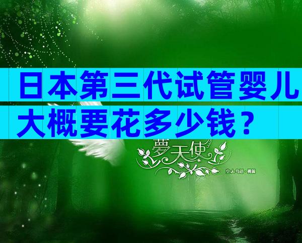 日本第三代试管婴儿大概要花多少钱？