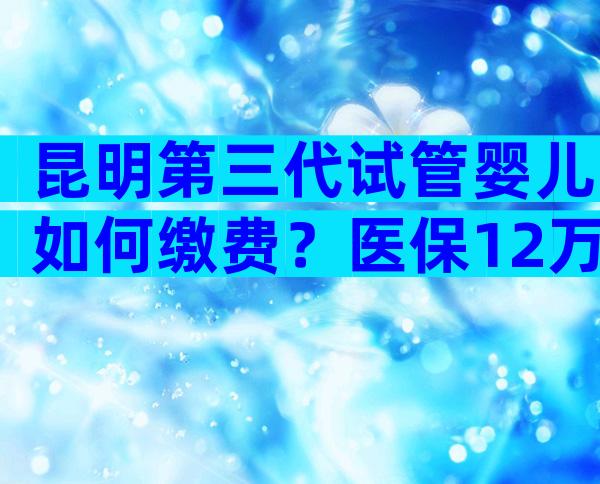 昆明第三代试管婴儿如何缴费？医保12万够吗？