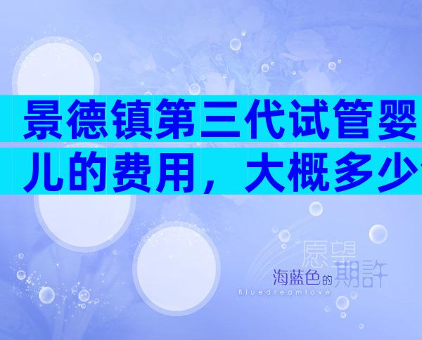 景德镇第三代试管婴儿的费用，大概多少钱？