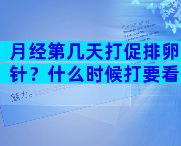 月经第几天打促排卵针？什么时候打要看卵泡发育的大小