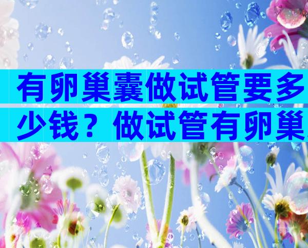 有卵巢囊做试管要多少钱？做试管有卵巢囊肿都需要做穿刺吗？