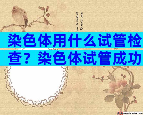 染色体用什么试管检查？染色体试管成功率高吗？