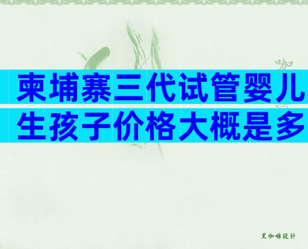 柬埔寨三代试管婴儿生孩子价格大概是多少钱？