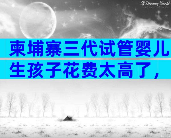 柬埔寨三代试管婴儿生孩子花费太高了，费用明细一览！