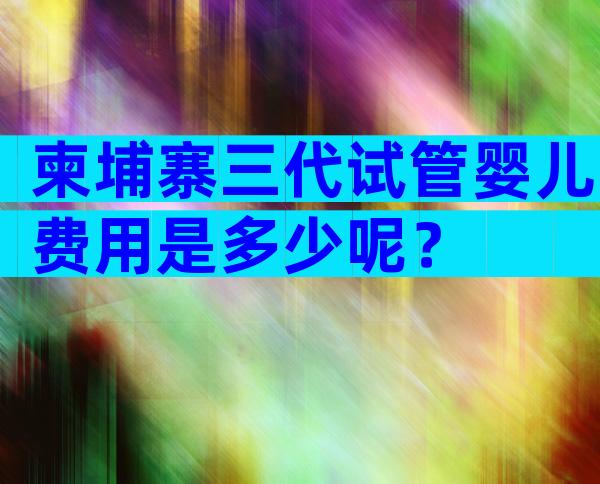 柬埔寨三代试管婴儿费用是多少呢？