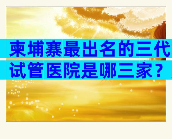 柬埔寨最出名的三代试管医院是哪三家？成功率有多少？