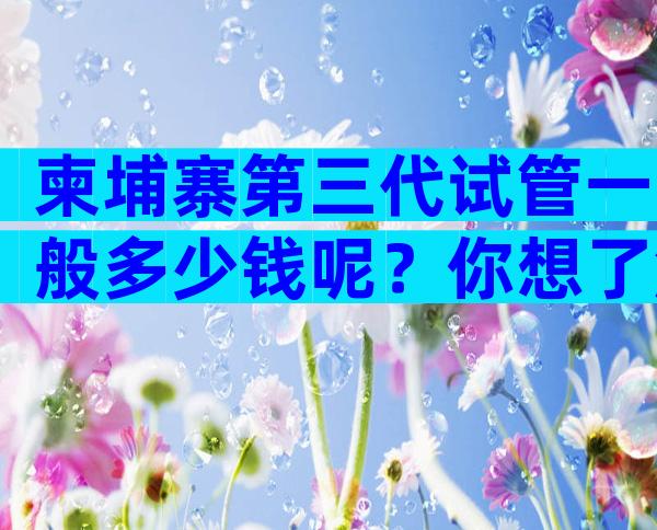 柬埔寨第三代试管一般多少钱呢？你想了解的花销明细都在这里