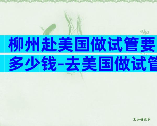 柳州赴美国做试管要多少钱-去美国做试管婴儿要赴美多长时间