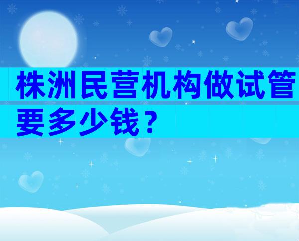 株洲民营机构做试管要多少钱？