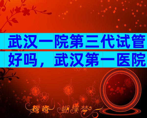 武汉一院第三代试管好吗，武汉第一医院试管技术怎么样