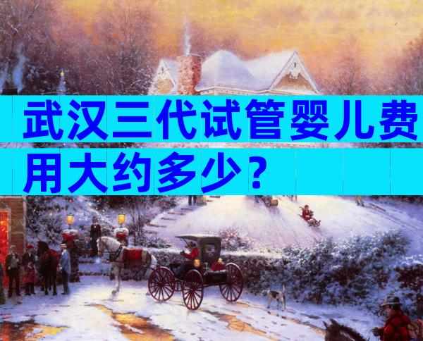 武汉三代试管婴儿费用大约多少？