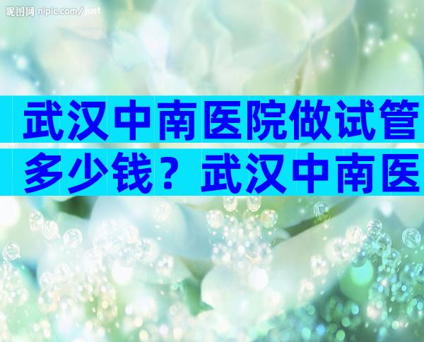 武汉中南医院做试管多少钱？武汉中南医院做试管多少钱一次？