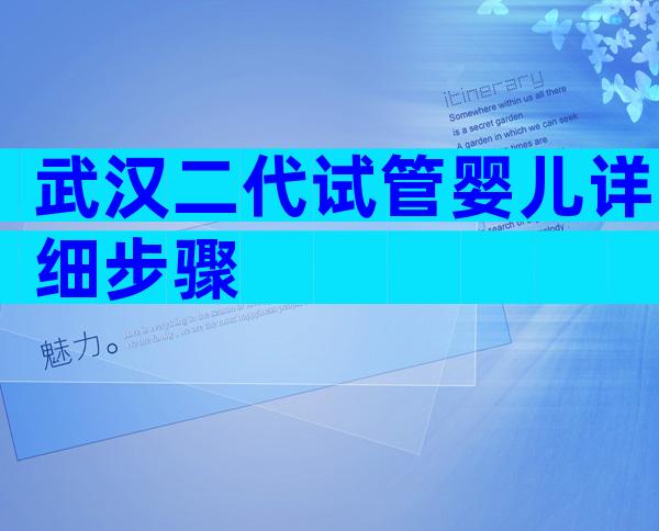 武汉二代试管婴儿详细步骤