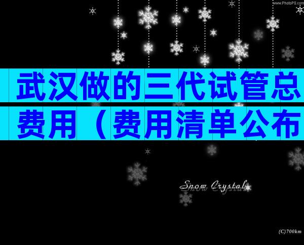 武汉做的三代试管总费用（费用清单公布）