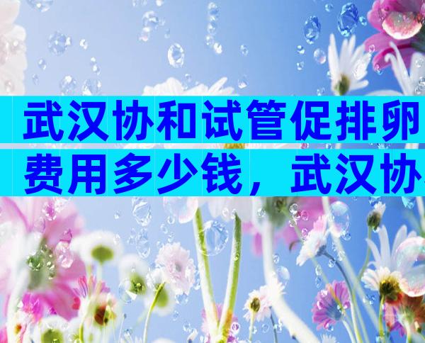 武汉协和试管促排卵费用多少钱，武汉协和医院做试管婴儿多少钱