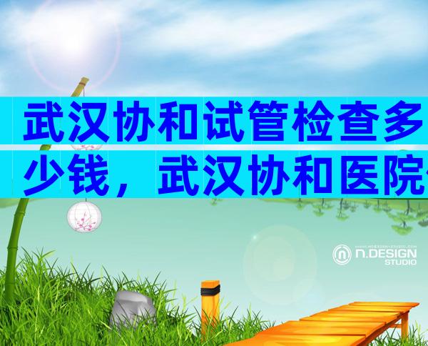 武汉协和试管检查多少钱，武汉协和医院做试管多少钱