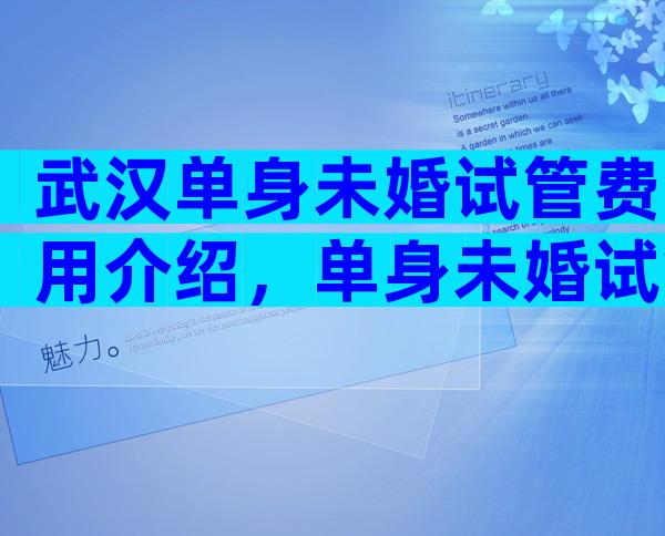 武汉单身未婚试管费用介绍，单身未婚试管婴儿成功率解读