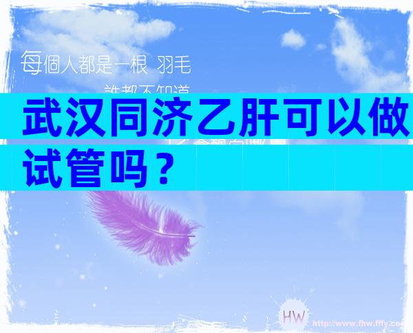 武汉同济乙肝可以做试管吗？