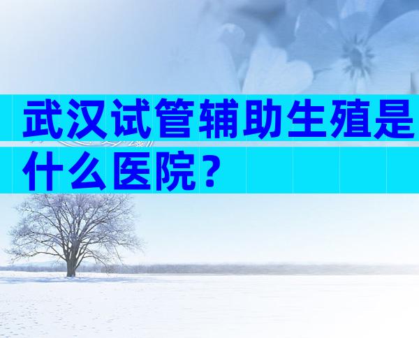 武汉试管辅助生殖是什么医院？